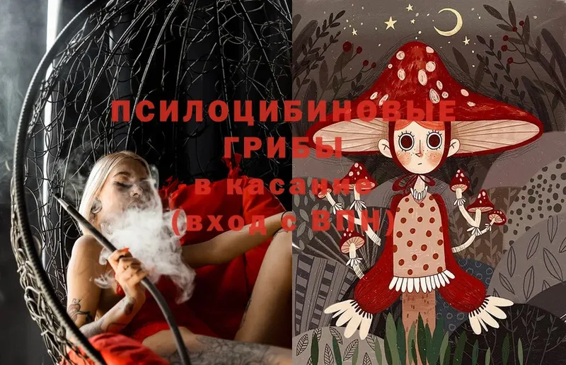 Галлюциногенные грибы Magic Shrooms  Сорск 